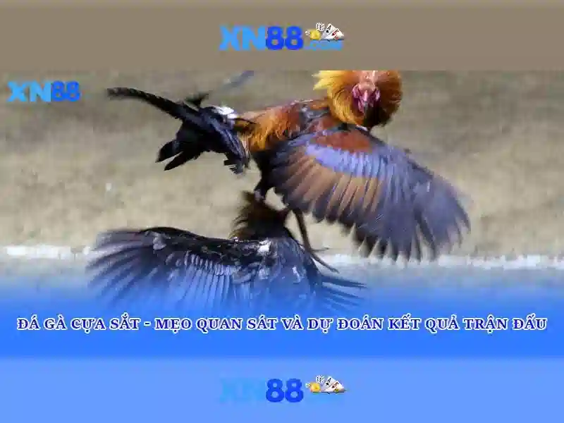 💎nhập code xn88💎 - xn88 in.net - xn88 voq33.za.com