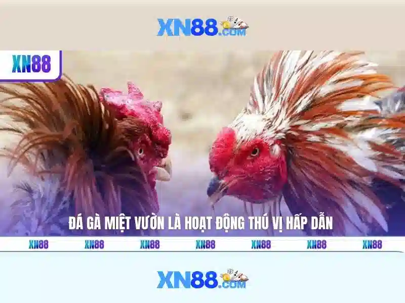 💎casino online💎