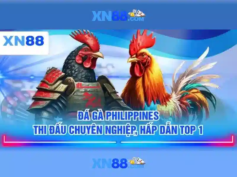 💎sông chảy theo hướng tây bắc – đông nam:💎