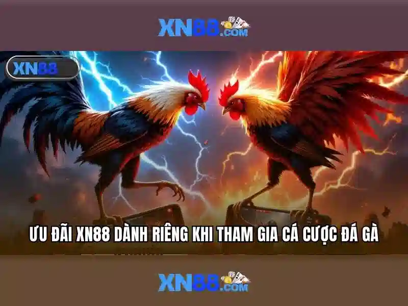💎keo nha cai bo dao nha vs duc💎
