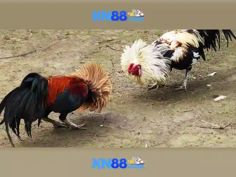 💎slots village casino💎