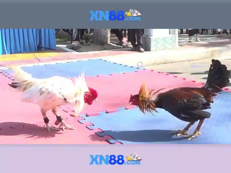 💎hệ thống sông lớn nhất vùng bắc bộ là💎