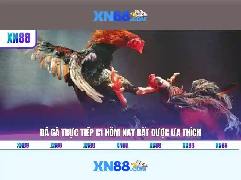 💎kèo nhà cái xem bóng đá trực tiếp💎