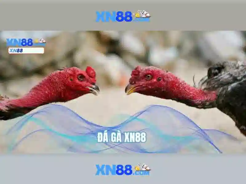 💎golden dragon inferno slot💎