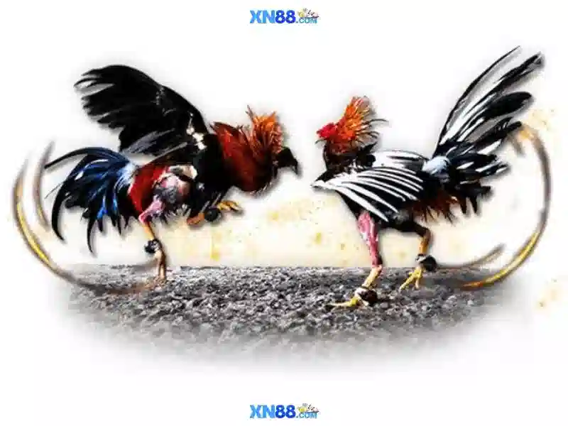 💎keo nha cai vao roi💎