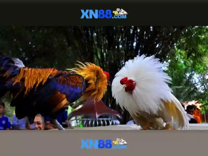 💎slot machines for sale toronto💎