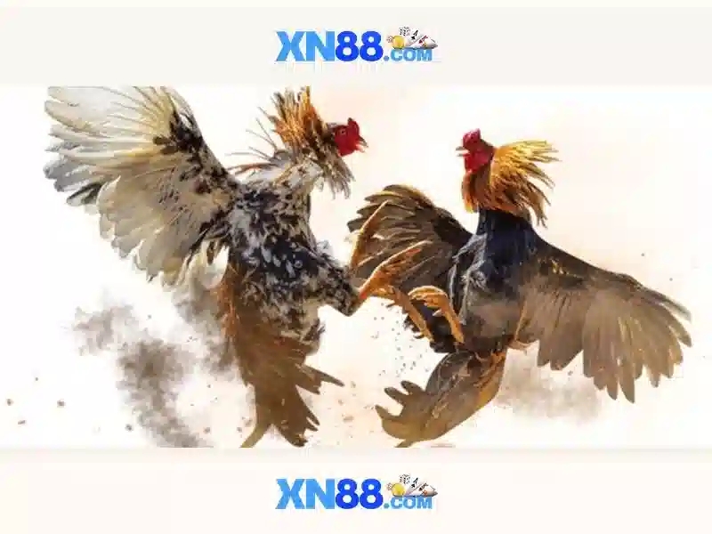 💎bóng đá trực tiếp hôm nay kèo nhà cái💎