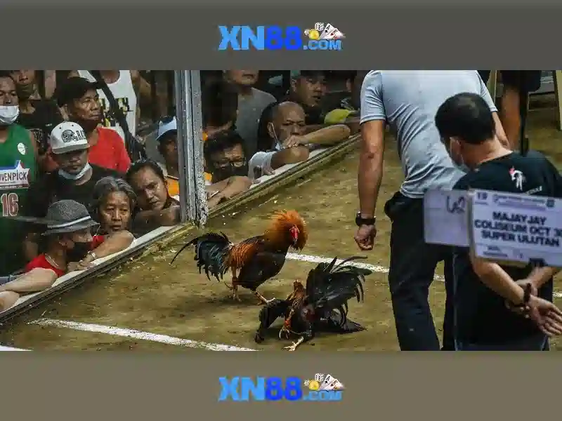 💎wild west online slots💎