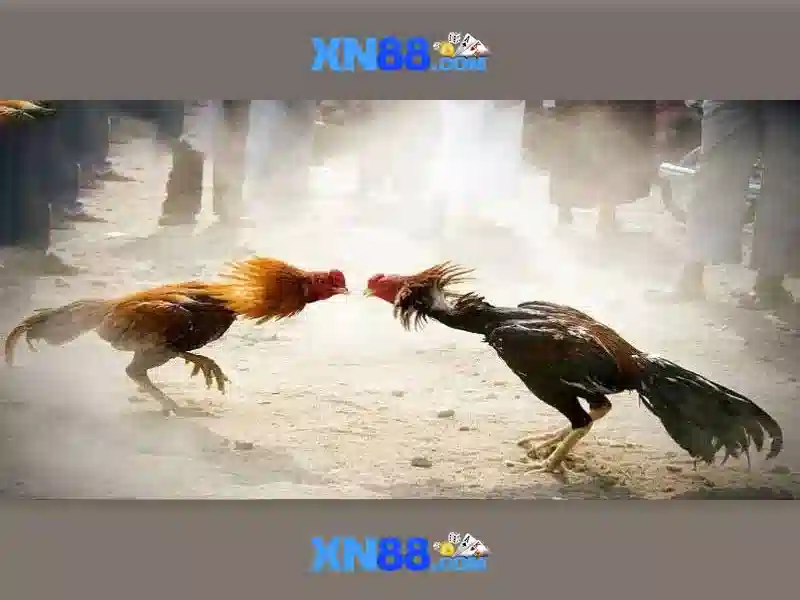 💎habitek 888 slot💎