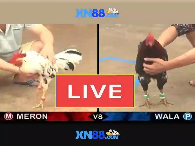 💎tội đánh bạc lần đầu 2018💎