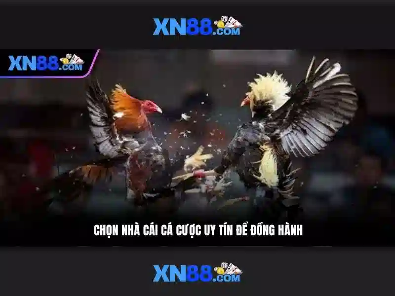 💎tải game xn88💎 - xn88 c - xn88 apk