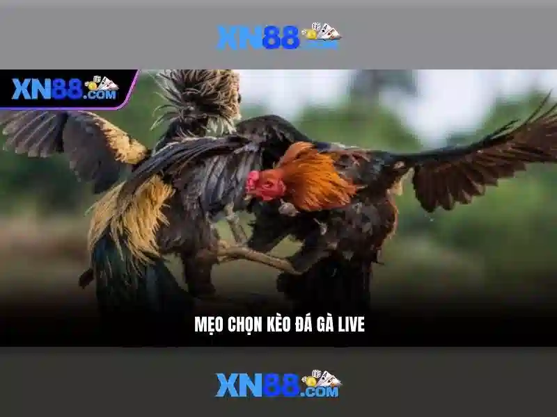 💎888slot entertainment💎