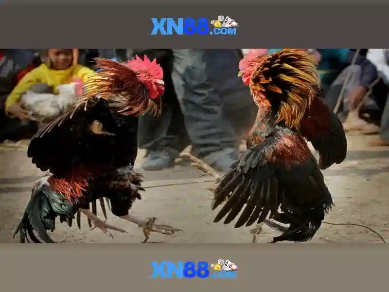 💎bdtt kèo nhà cái i5💎