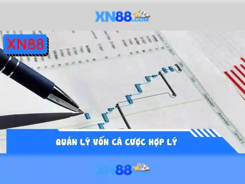 💎what is xn88💎
