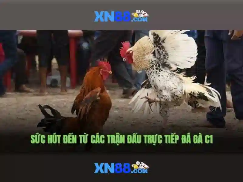 💎888 slot lodibet big win casino💎