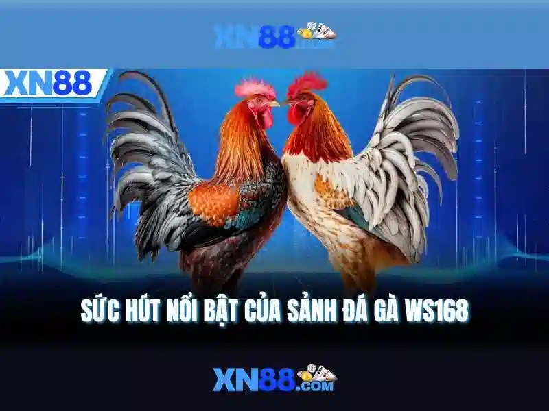 💎truc tiếp keo nha cái💎