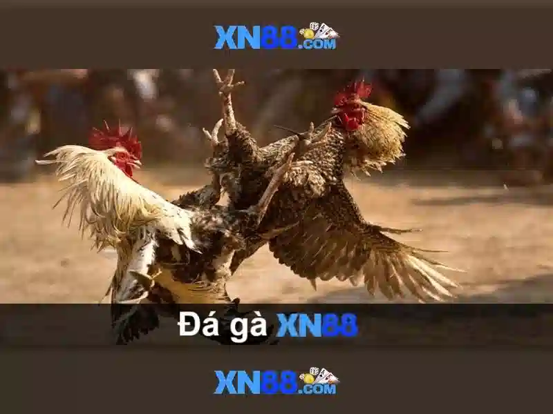 💎platoon wild slot machine💎