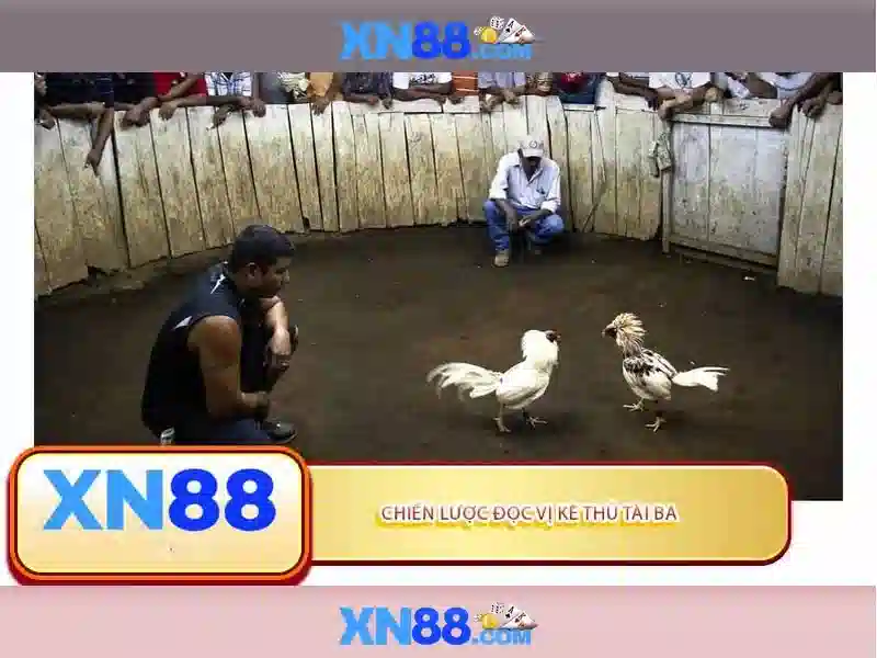 💎đất vân nội bac song hong💎