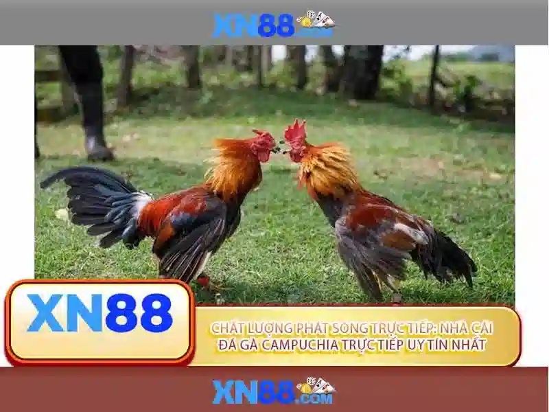 💎nhà xe mỹ đình lào cai💎
