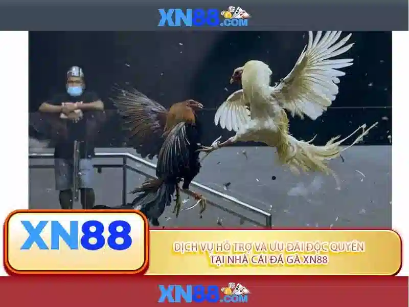 💎xn88 200 login💎