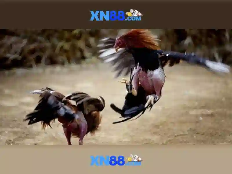 💎crazy hunter 888slot demo💎