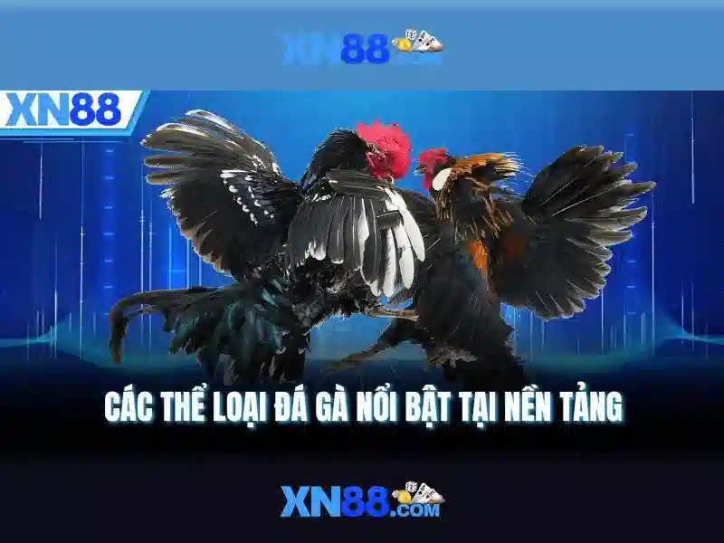 💎top 8 nhà cái uy tín 250💎