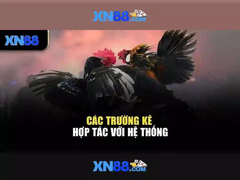 💎top 10 nhà cái uy tín nhacai789💎