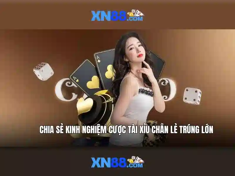💎hướng dẫn mới nhất về tội đánh bạc💎