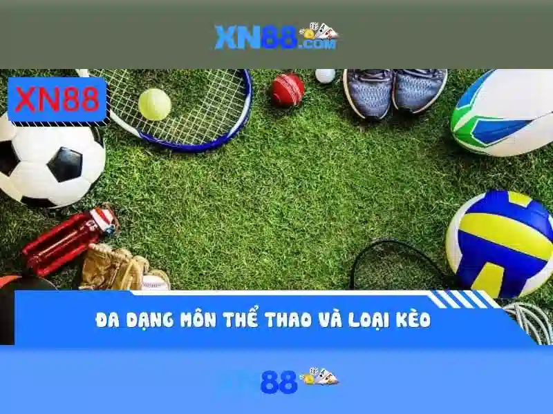 💎shark slot ฝาก 10 รับ100💎