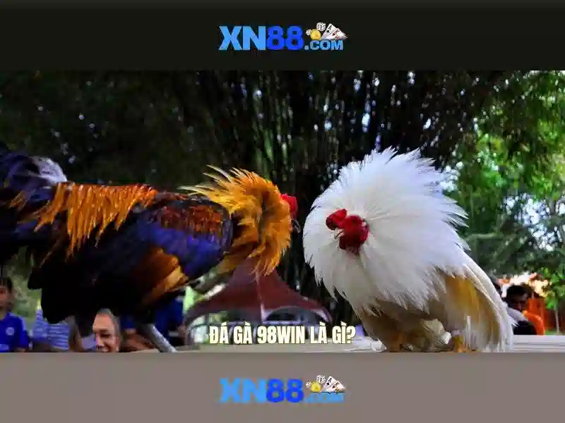 💎tỷ lệ cá cược copa💎