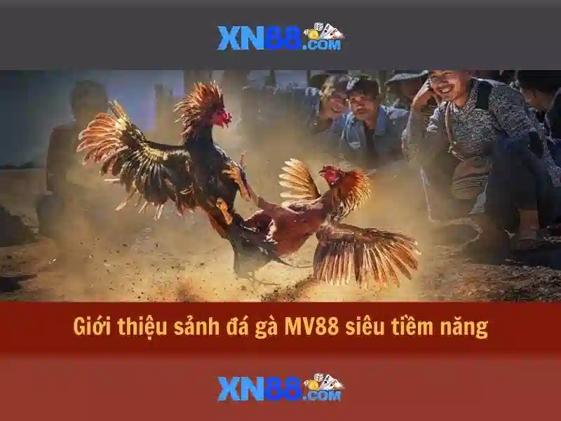 XN88 - Trang Chủ XN88 | Link Vào XN88 Slot 2026 - XN88