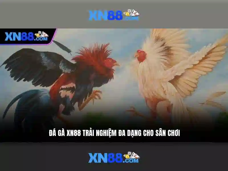 💎link xem trực tiếp bóng đá keo nha cai💎