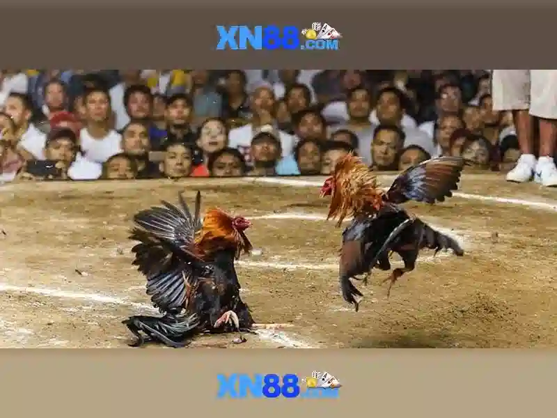 💎phim một phút và cả cuộc đời tập 1💎