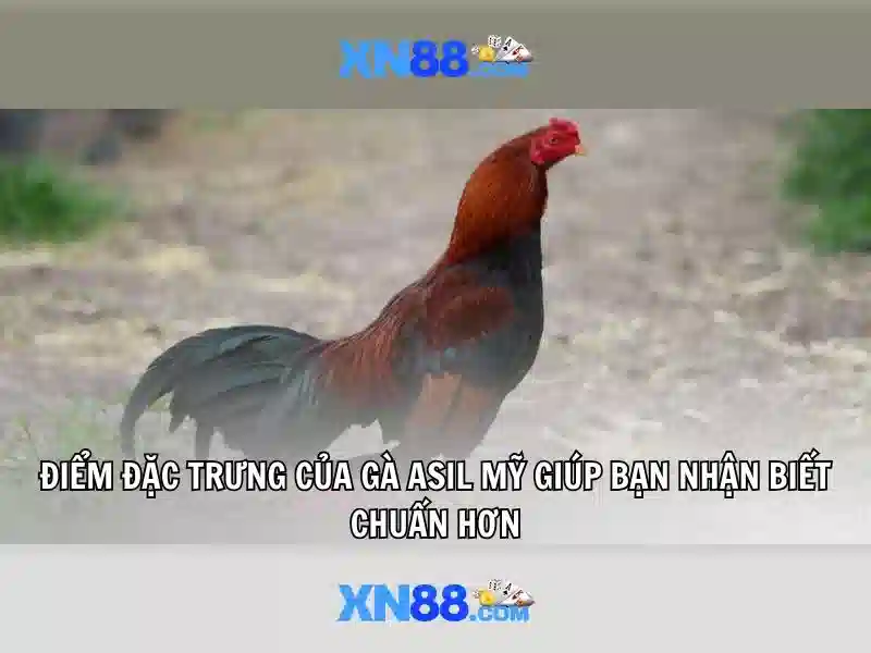 💎best saucify online slots💎