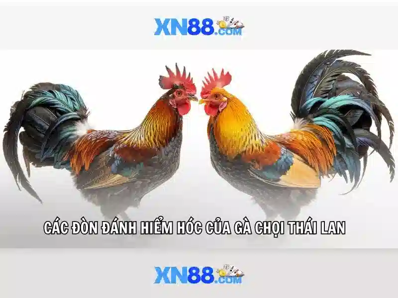 💎slots øl bryggeri💎