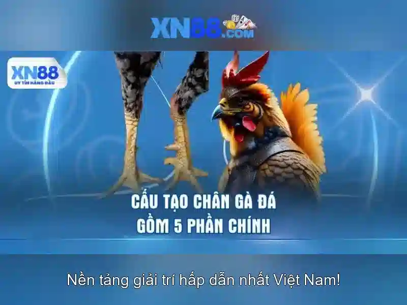 💎slots fafafa fish💎