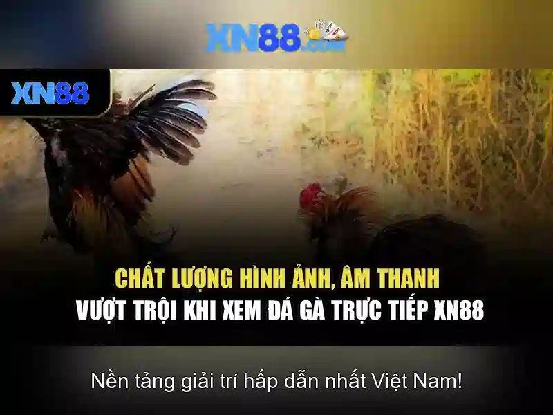 💎cách làm trắng bạc sau khi đánh cảm💎