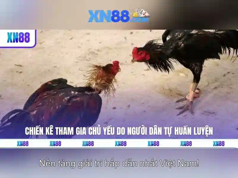xn88 có uy tín không - XN88