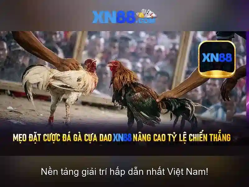 💎cãi nhau với chồng có nên bỏ nhà đi💎