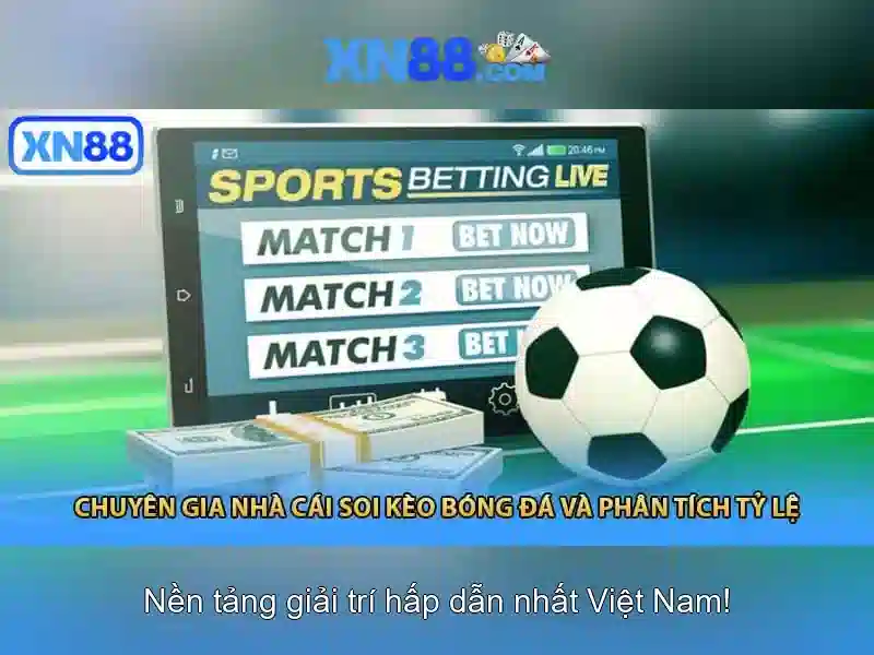 💎koopmeiners arne slot💎