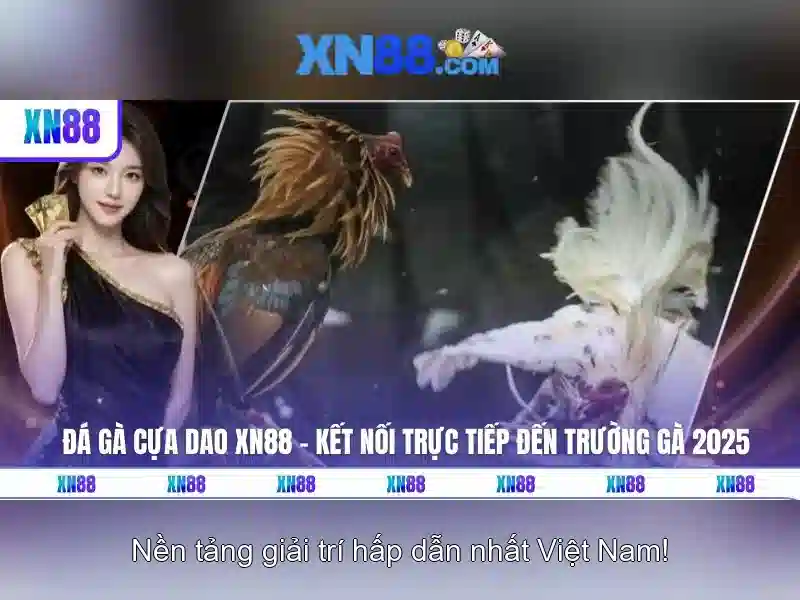 💎lengbear poker slots 888 slot lengbear poker slots💎