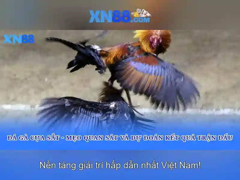 💎thời gian pháp đánh bắc kì lần 1💎