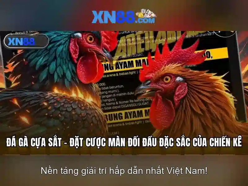 💎slots definicion💎