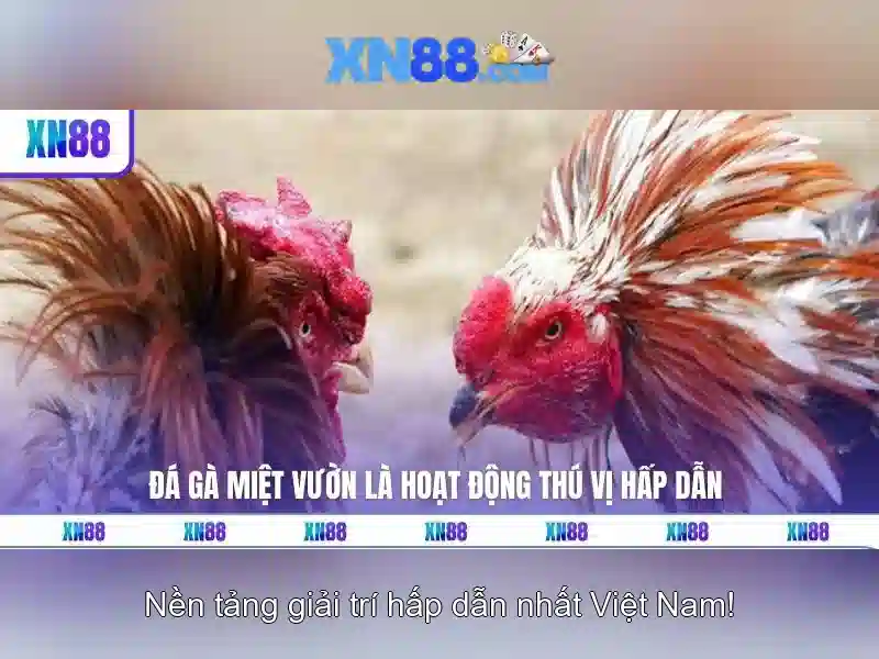 💎keo nha cai uero💎