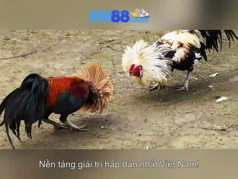 💎the best online slots for real money💎