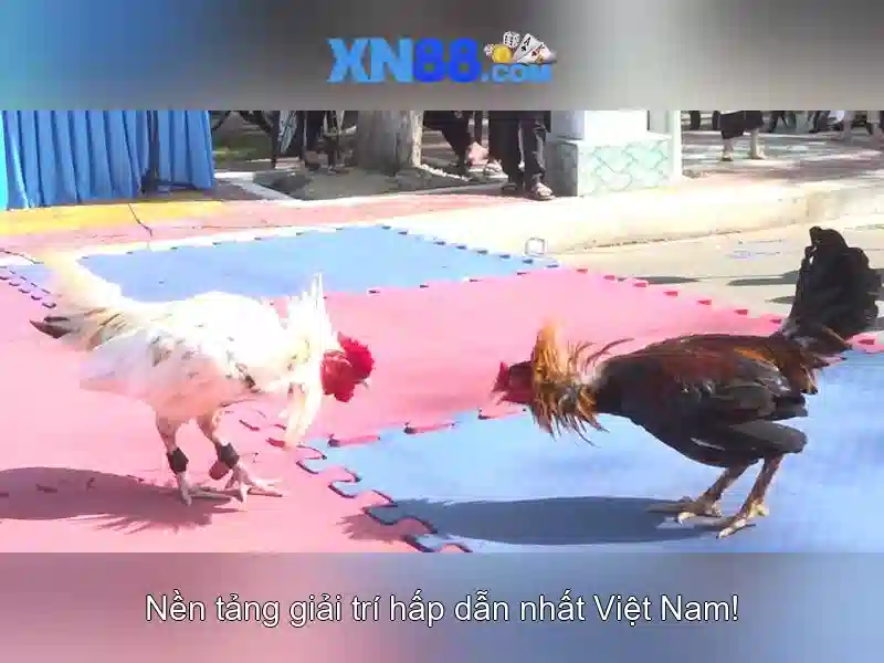 💎best slots at treasure island mn💎