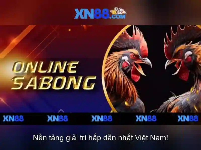 💎tỷ lệ cá cược bd hôm nay💎