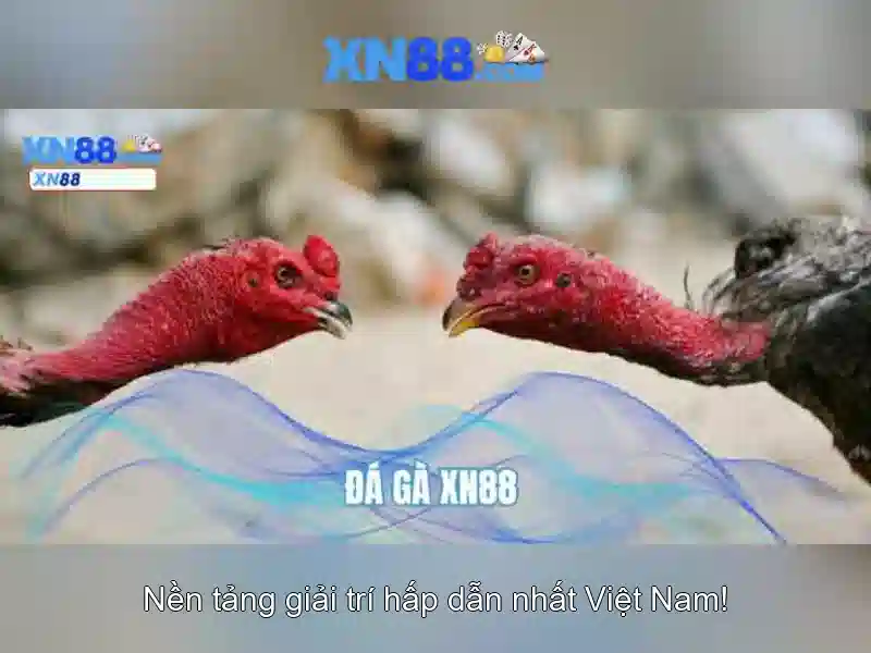 💎tai app 888slot com💎