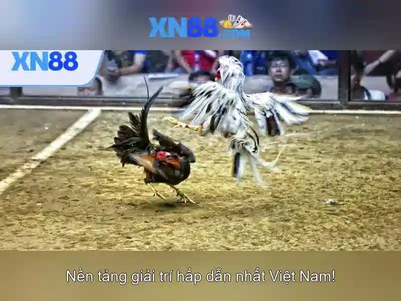 💎888slot ph35💎