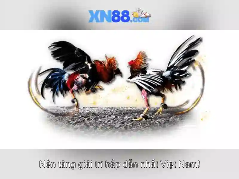 💎888slot best slot💎
